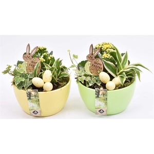 Keramiek schaal gr/ge 15,5cm