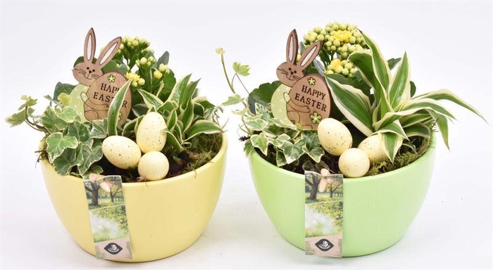 <h4>Keramiek schaal gr/ge 15,5cm</h4>