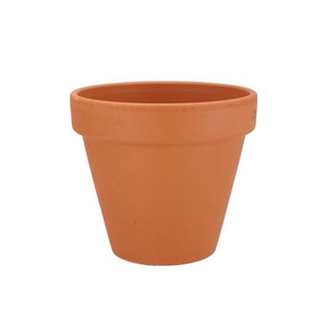 Terracotta Basic Pot D19xh17cm