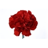 CRAVO BOUZERON 050 CM VERMELHO