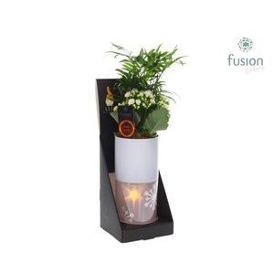 Glas tube Led planter groot met arrangement