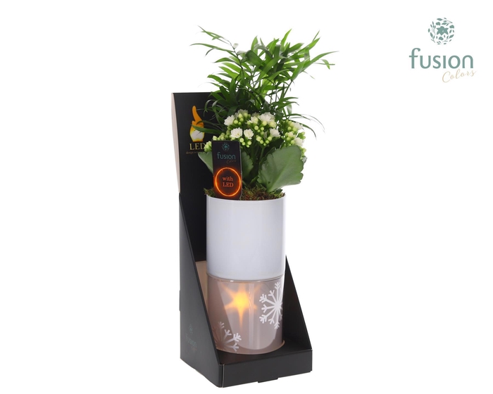 <h4>Glas tube Led planter groot met arrangement</h4>