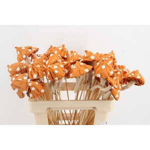 Stick Mushroom Lotus Orange