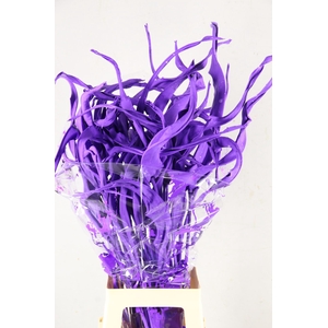 DF Strelitzia Leaf Dark Lilac