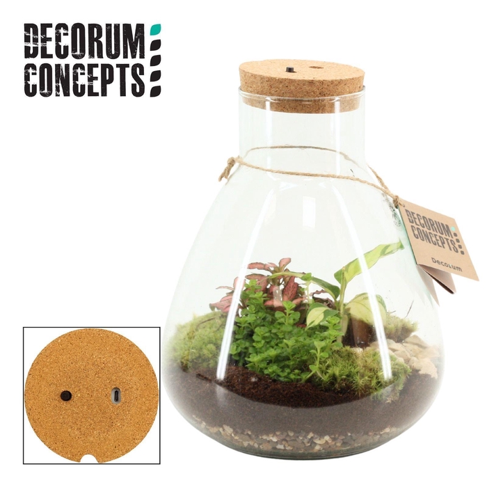 <h4>Terrarium Erlenmeyer large met oplaadbare led (Decorum concepts)</h4>
