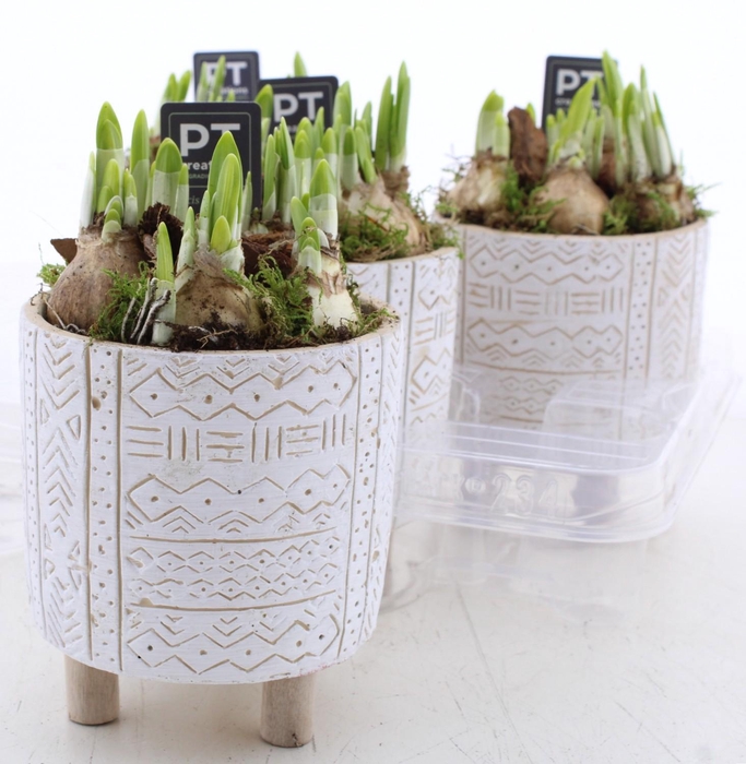 <h4>ARR N TETE A TETE</h4>