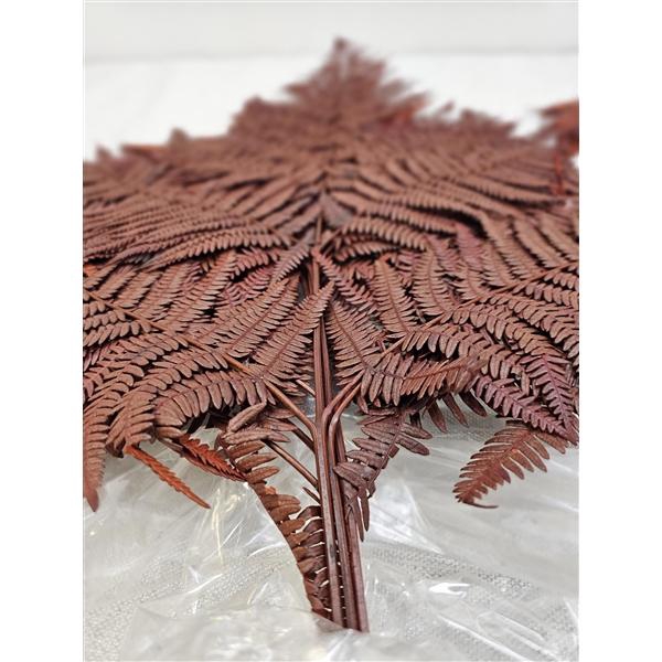 <h4>GESTABILISEERD VAREN BRUIN</h4>