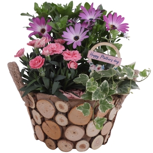 Mothersday Arr. Outdoor Wooden Pot Round Tree Chucks Ø22cm 3PP