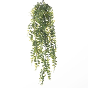 Af Hang Bush Fern X5 L79cm Gre