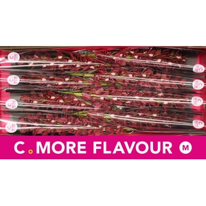 Mini cymbidium 'Benjamin' 70 cm