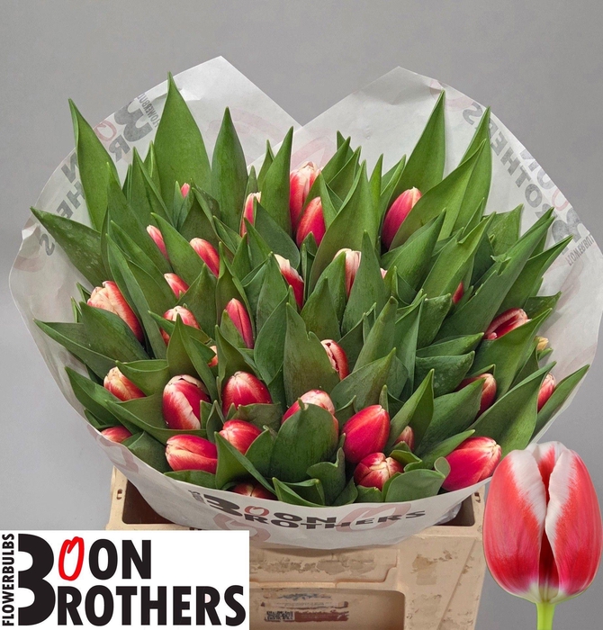 <h4>TU EN OUTFIT</h4>