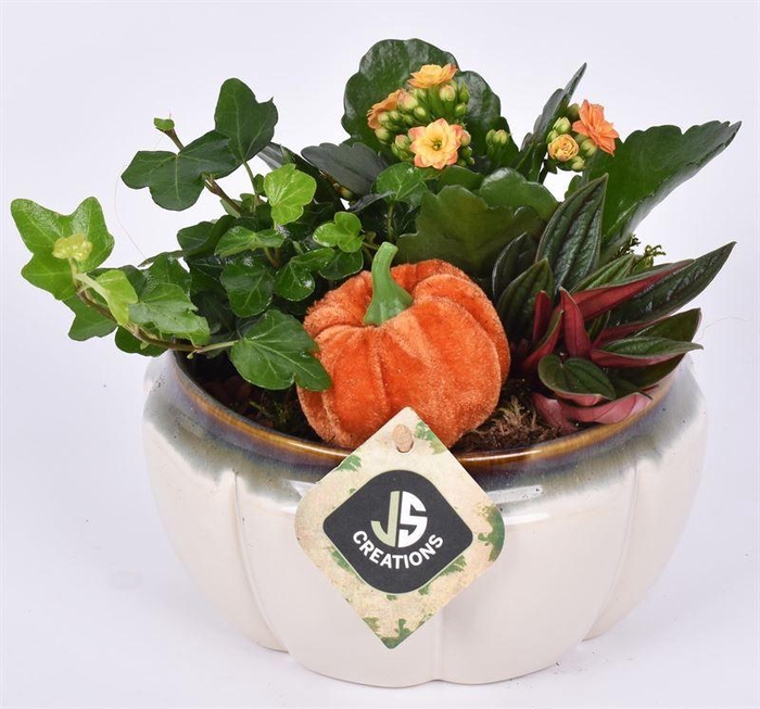 <h4>Keramiek schaal creme 16.5cm</h4>