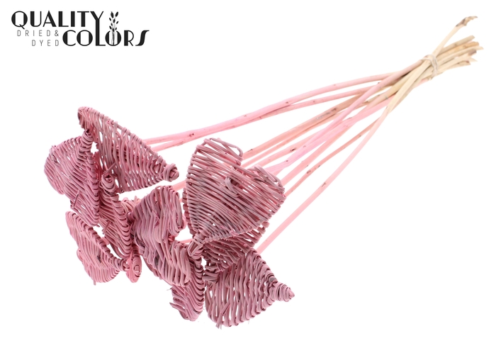 Lata Heart 8cm on stem Hat type Frosted Pink