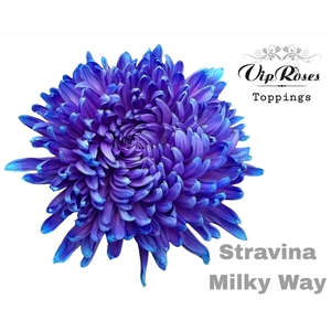 Chr G Stravina Milky Way