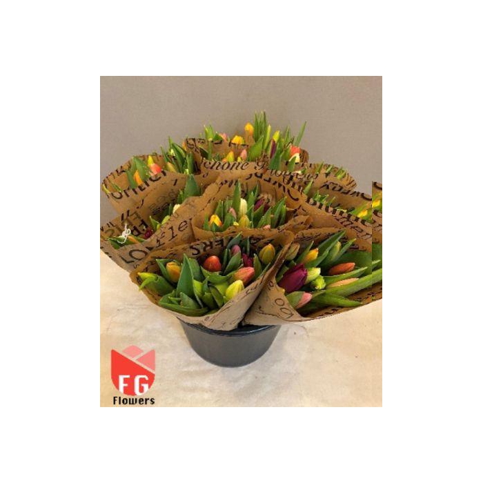 <h4>TU EN GEM Broodpapier Broodpapier</h4>