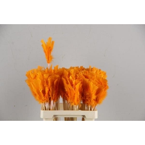 Stick Feather Orange 14cm