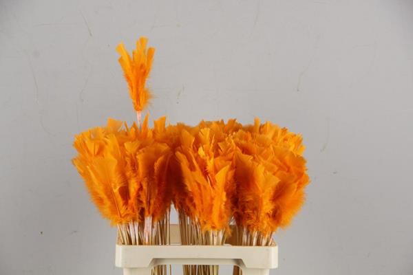 <h4>Stick Feather Orange 14cm</h4>