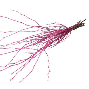 Droogdeco Berk tak 70cm