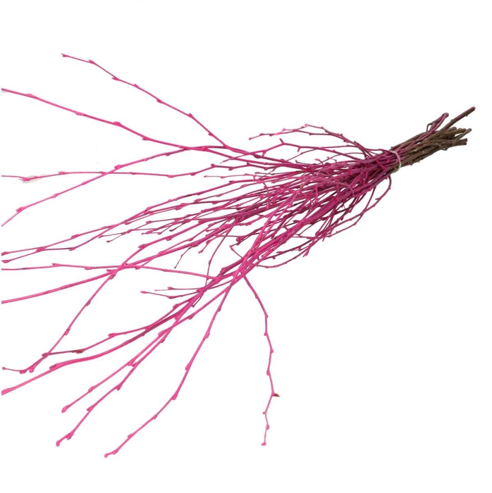 <h4>Dried articles Birch branch 70cm</h4>