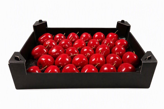 <h4>WAX APPEL H%</h4>