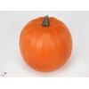 Sierfruit Cuc Maxima Halloween