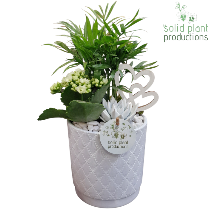 <h4>CE001 Amy White VM</h4>