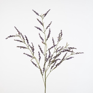 AF Limonium spray L100cm pu