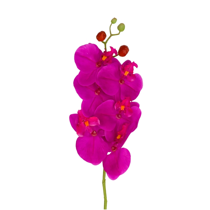<h4>Kunstbloemen Phalaenopsis 68cm</h4>