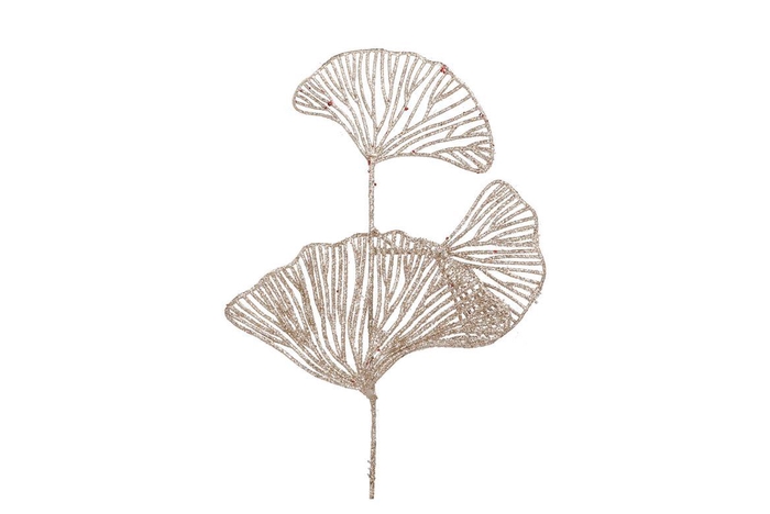 <h4>Pick Shine Lotus Cozy Champagne 40cm Per 12</h4>