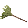 Umbrella Paraplu Fern