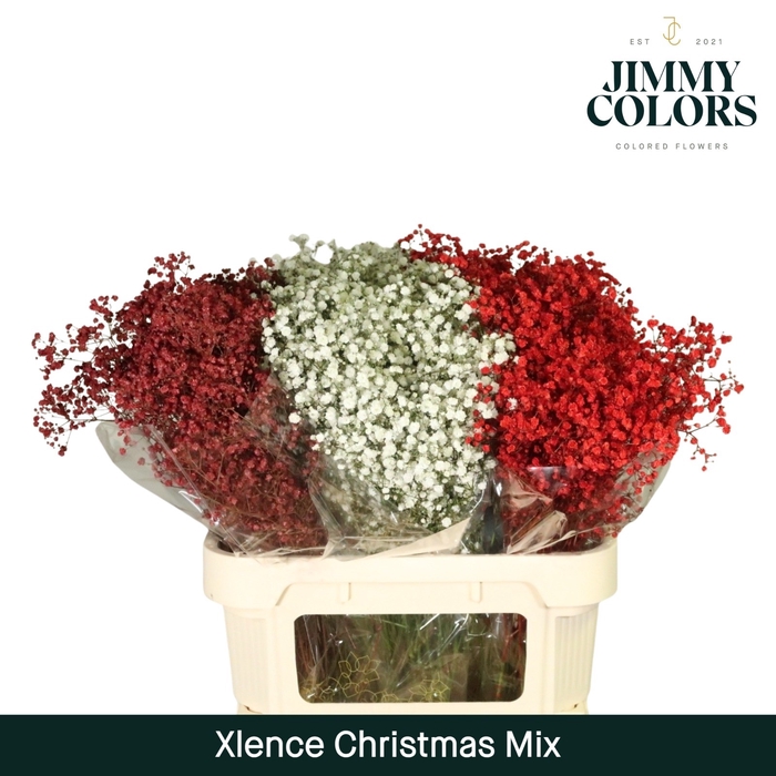 <h4>Gyps Xlence L80 Christmas mix</h4>