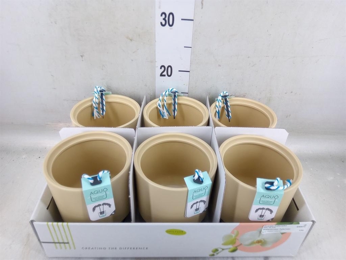 <h4>Pot   ...Keramische H%</h4>