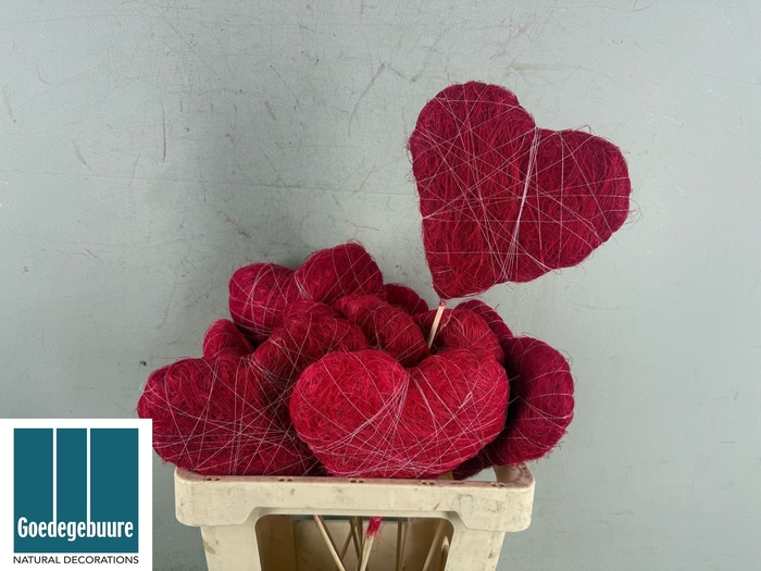 <h4>HARTJE OP STOK H%</h4>
