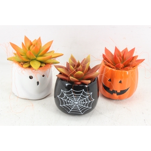 arr2 JS - Ker halloween mix ech. oranje