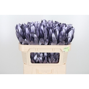 Leucod Kl Bh Metallic Milka