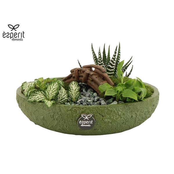 <h4>Arrangementen kamerplanten H%</h4>