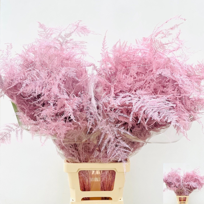 <h4>ASP OV KLB H%</h4>