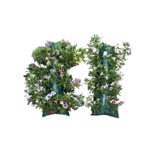 HANGING BASKETS