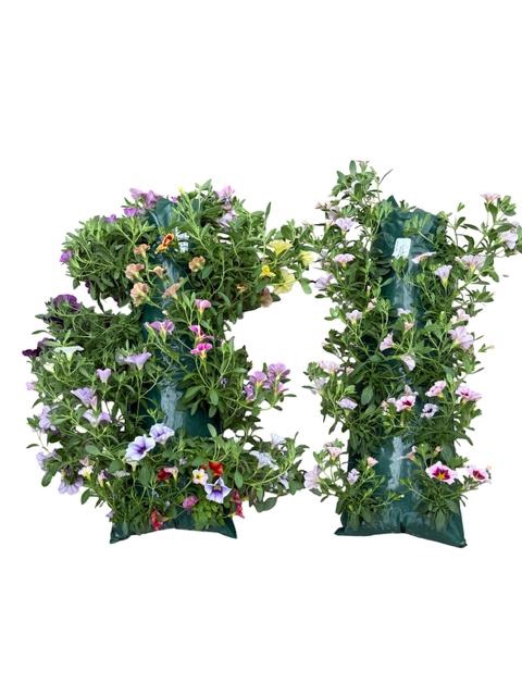 <h4>HANGING BASKETS</h4>