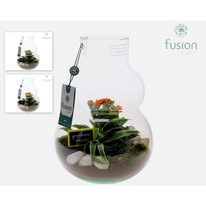 Green Bottle Olaf Medium met Grootmoederdag arrangement