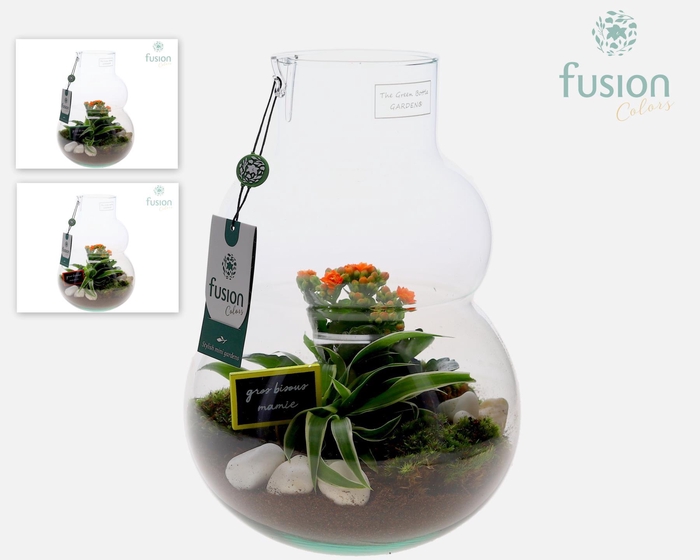 <h4>Green Bottle Olaf Medium met Grootmoederdag arrangement</h4>