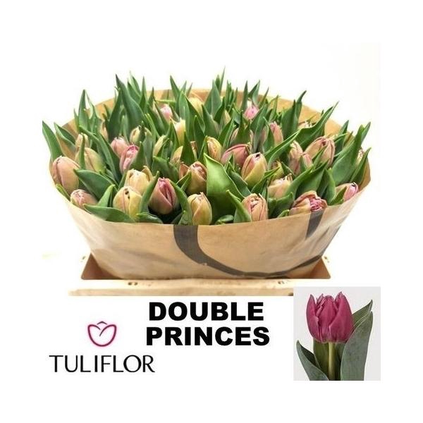 <h4>TU DU DOUBLE PRINCESS</h4>