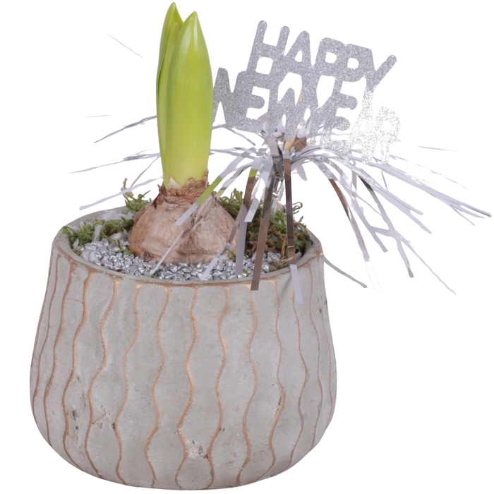 <h4>New Year Arr. Hyacint Ceramic Pure Luxury N569 Ø12cm 1PP</h4>