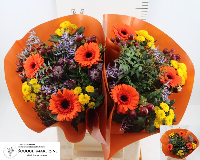 <h4>GEM BOEKET OV</h4>