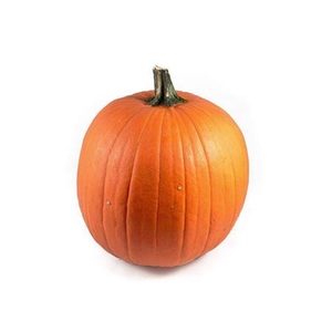 Sier Cuc P Maxima Halloween X2