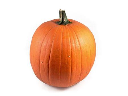 <h4>Sier Cuc P Maxima Halloween X2</h4>