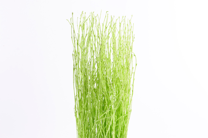 Berk Klb Mint