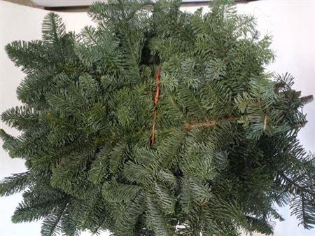 Noblis Blauw Handbos