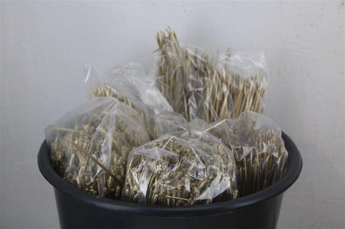 <h4>Dennen Naalden Gold</h4>