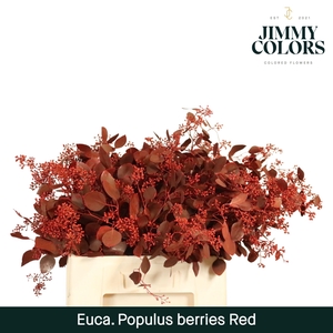 Pop bes per bos 200g Rood